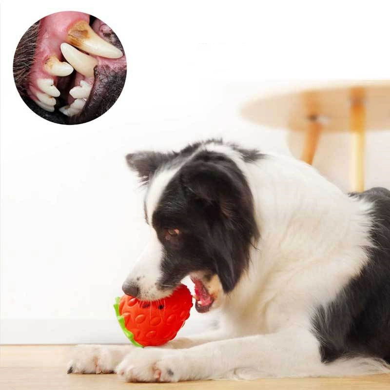 Dogs Chewing and Grinding Teeth Leakage Food Rubber Dog Toy