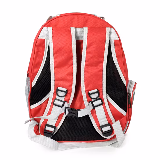 Airline Approved Voyage Capsule Sac À Dos Étanche Respirant Sac Chat Sac À Dos Chien Pet Supply