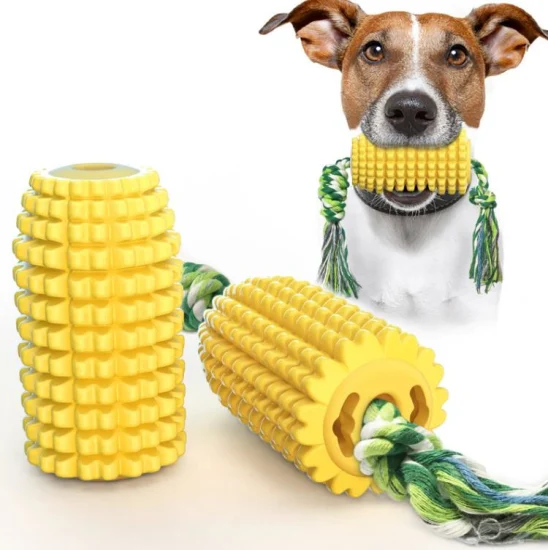 Fournitures pour animaux de compagnie Rraining Rubber Ball Dog Grinding Teeth Ball Dog Toy