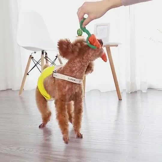 Jouets pour animaux de compagnie résistants aux morsures de chien de carottes tressées en corde de coton