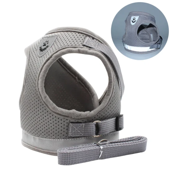 Chine Vente en gros Custmized 1,5 m extérieur réglable réfléchissant long animal de compagnie chien chat formation laisse corde en nylon ceinture Pet Hanress produit Pet Supply avec CE/BSCI